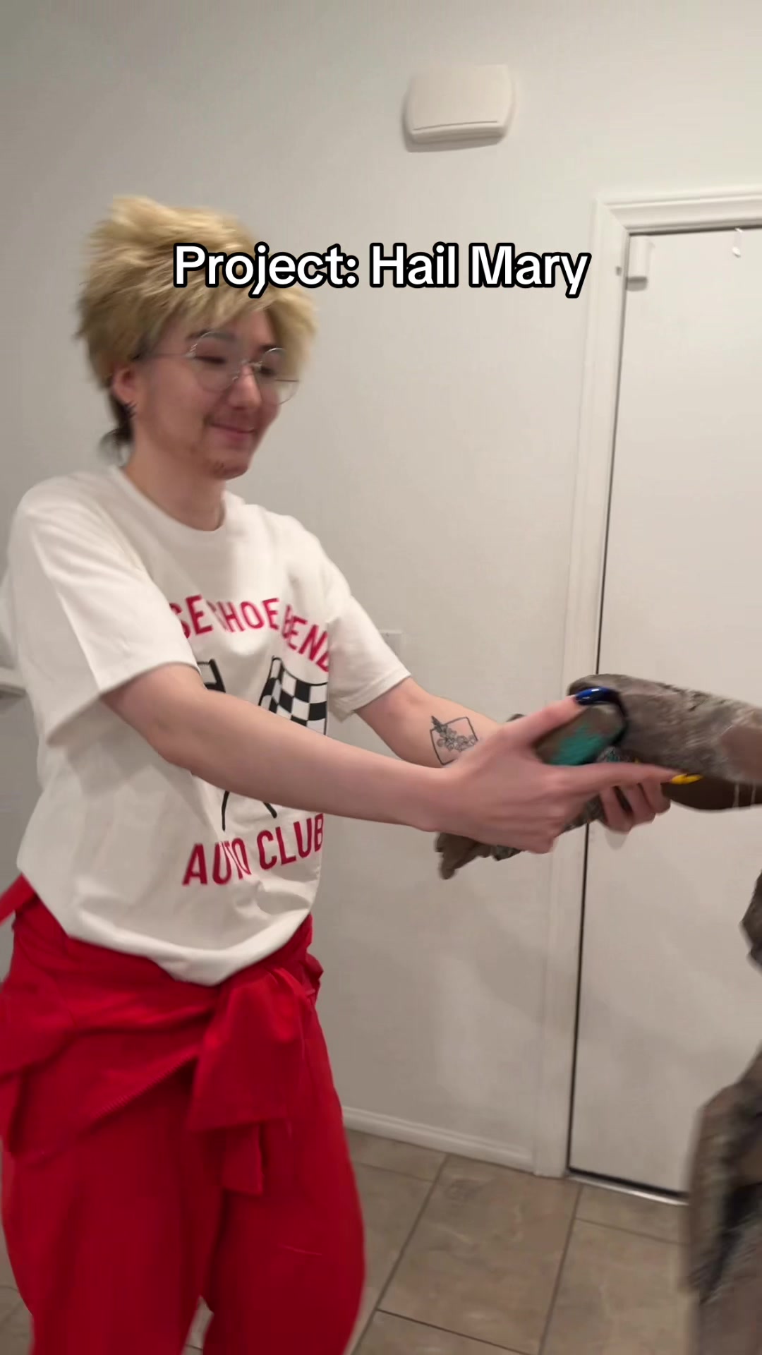 @Akemikun