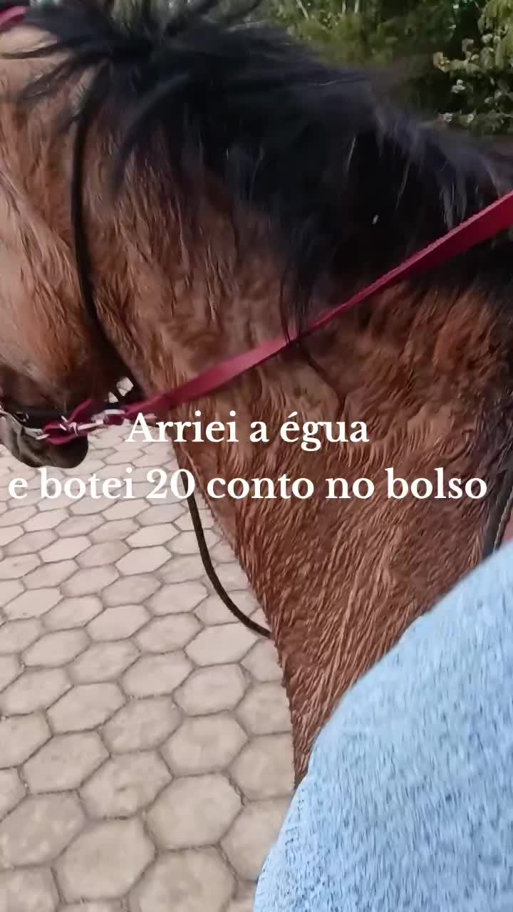 @Bruna_ofcc
