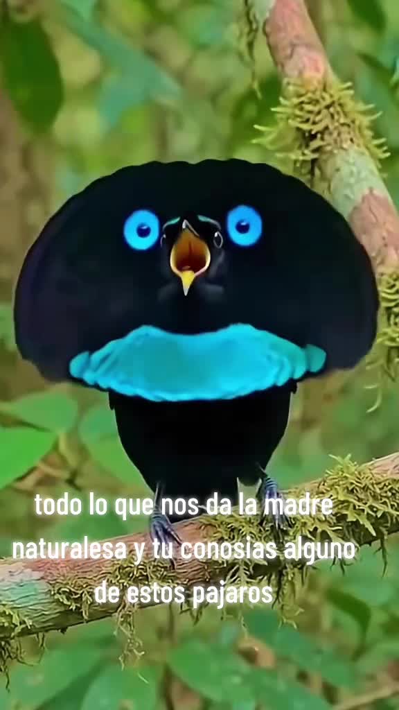 @LATZAC