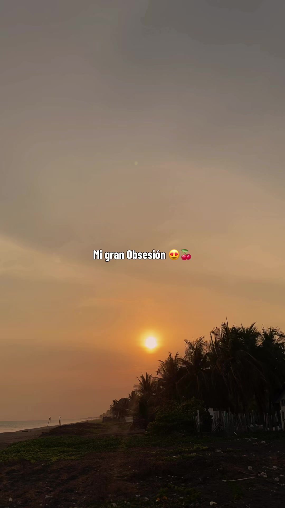 @Castillo🕷️🕸️