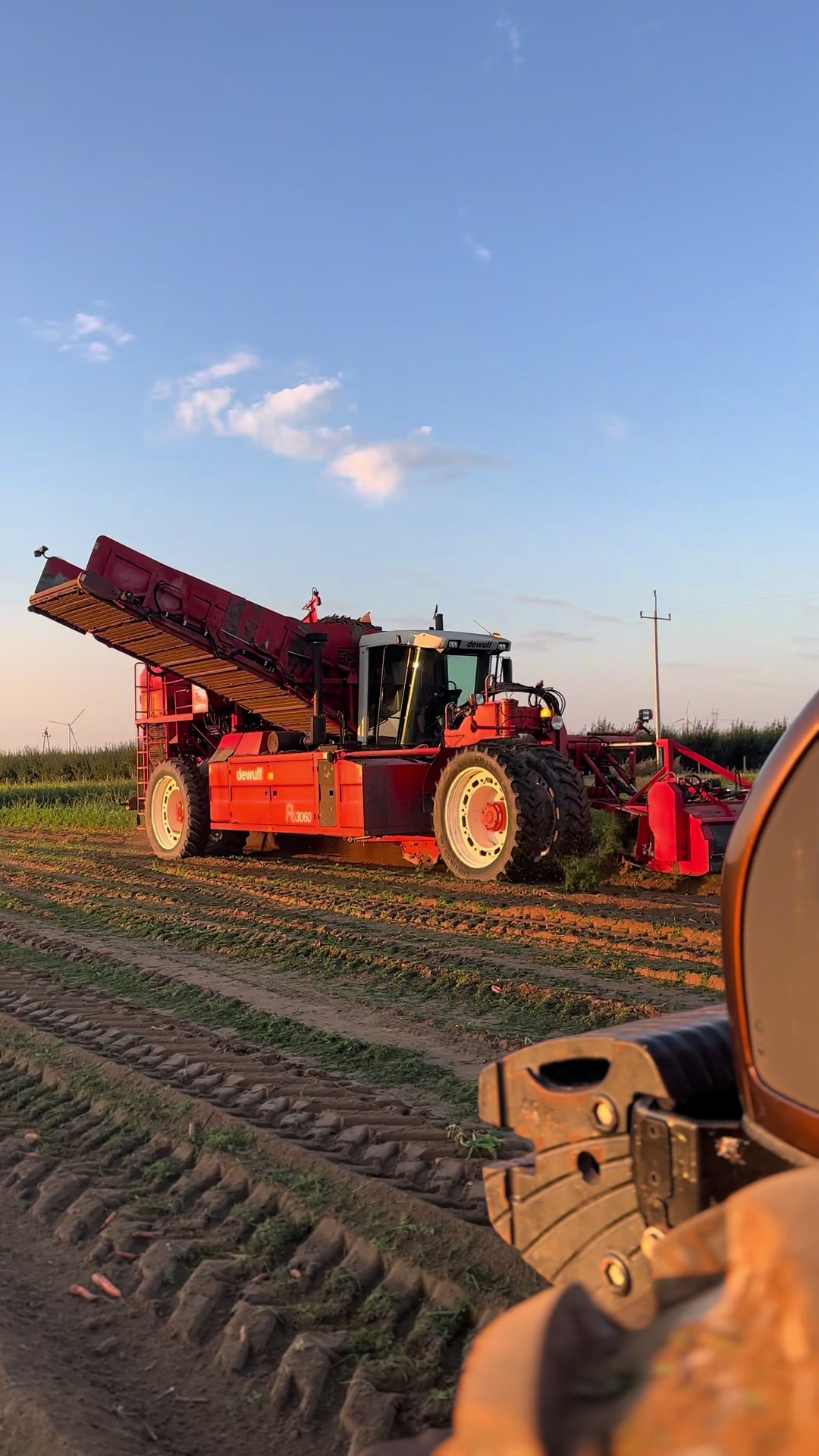 @Ćwikła agro