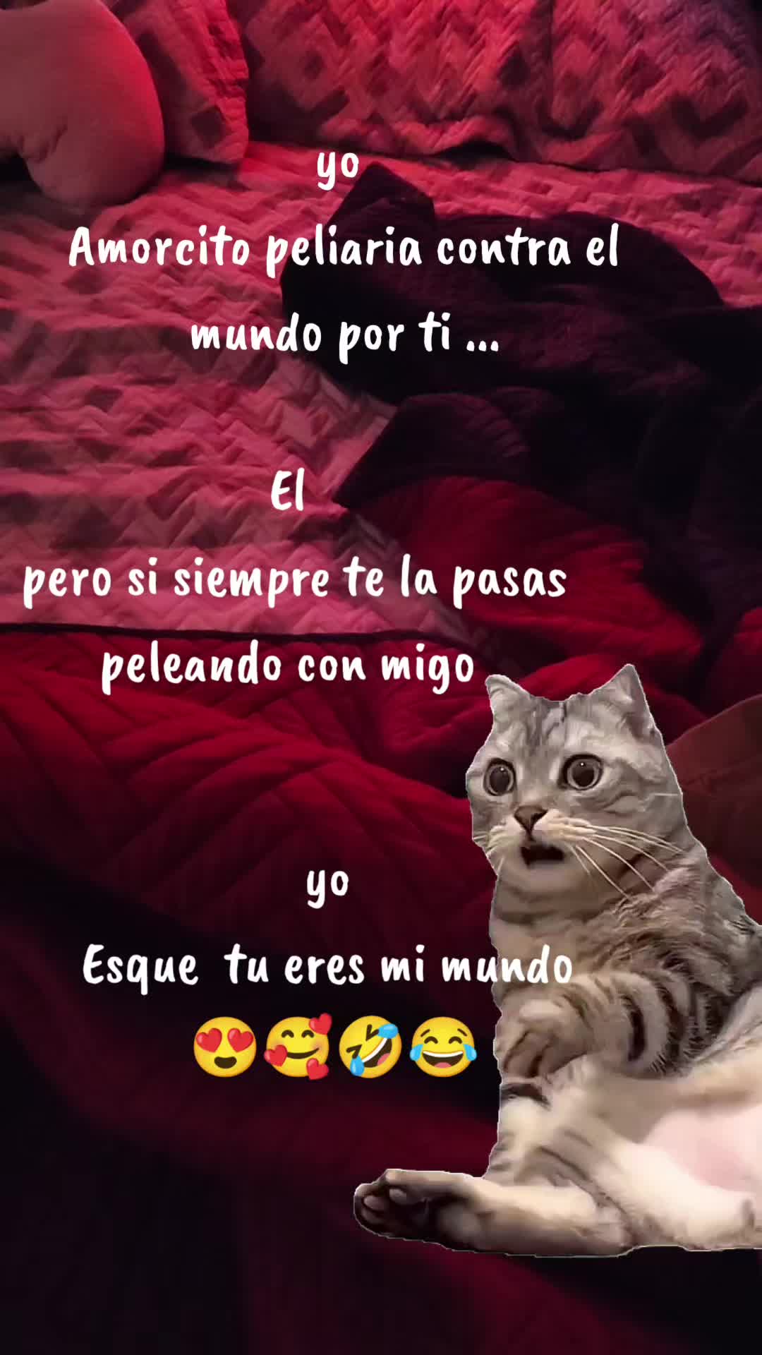 @Pincheloca🤗