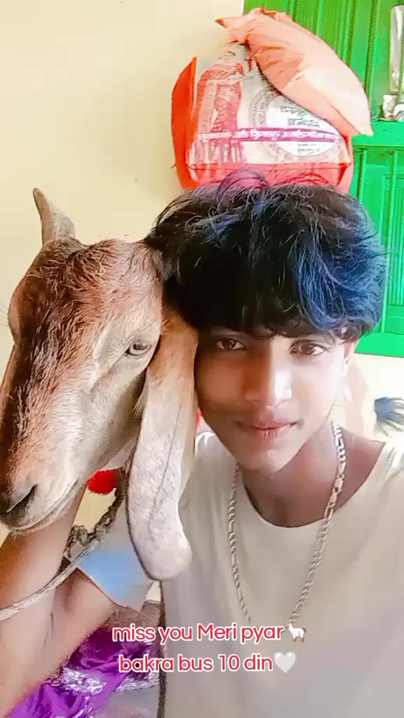 @༒☬مجاہد༒