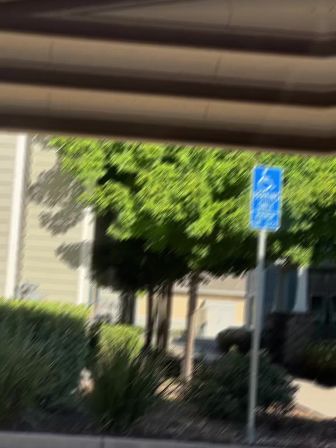 @el_Jardinero209