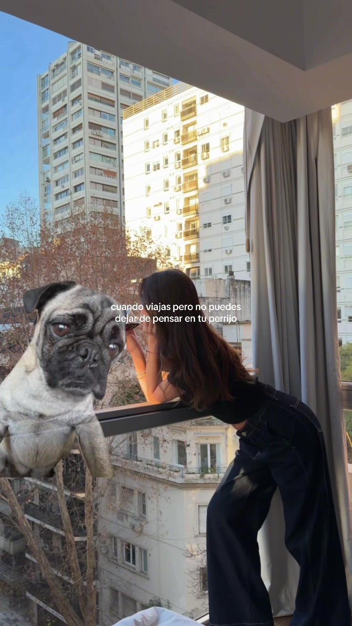 @Pía Requejo Romero