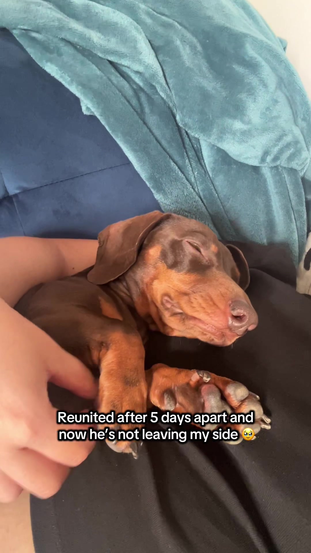 @sir_reggiethesausage