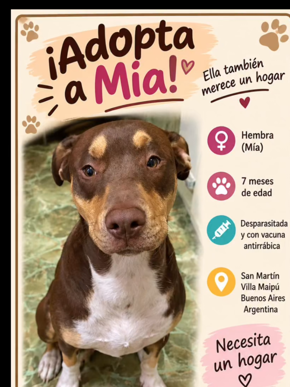 @Perritos Voladores