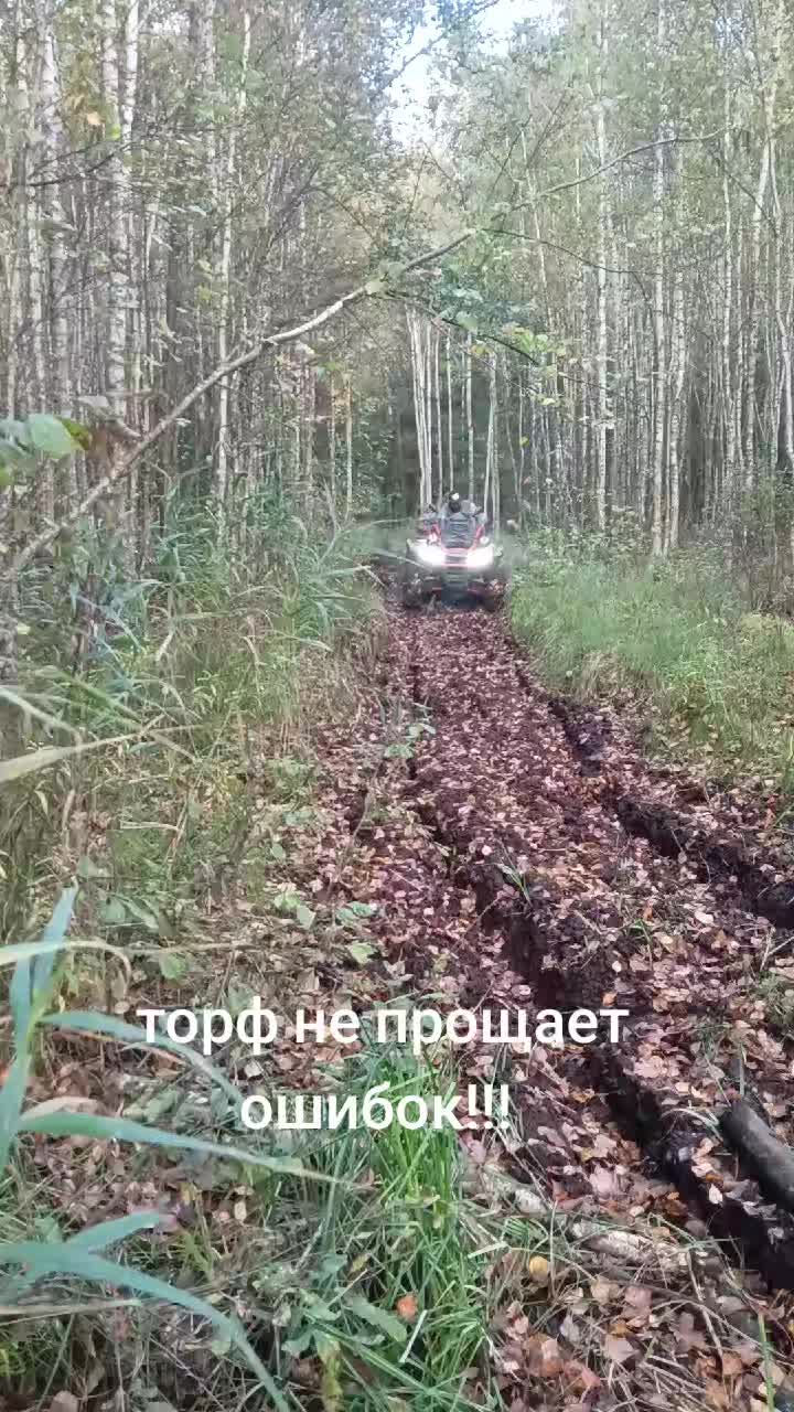 @Дмитрий Бондарь