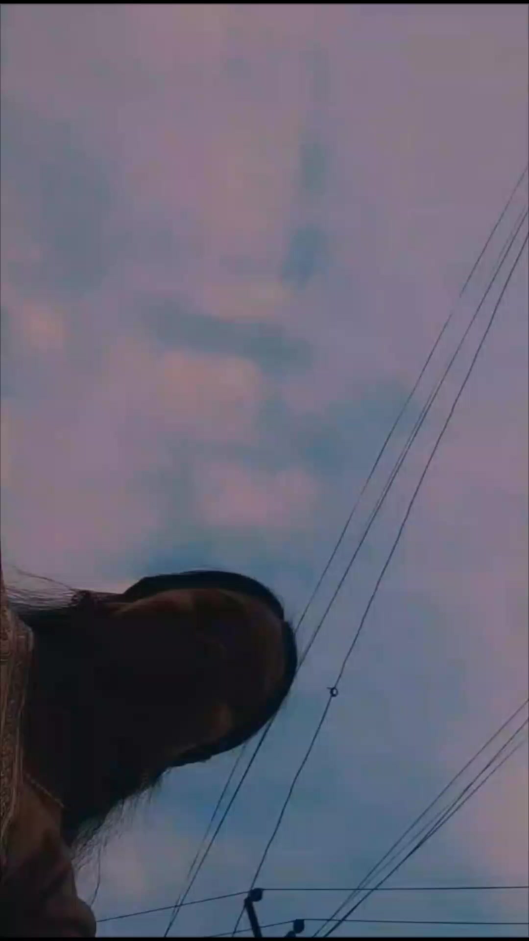 @ᥫ᭡🦋🕊️