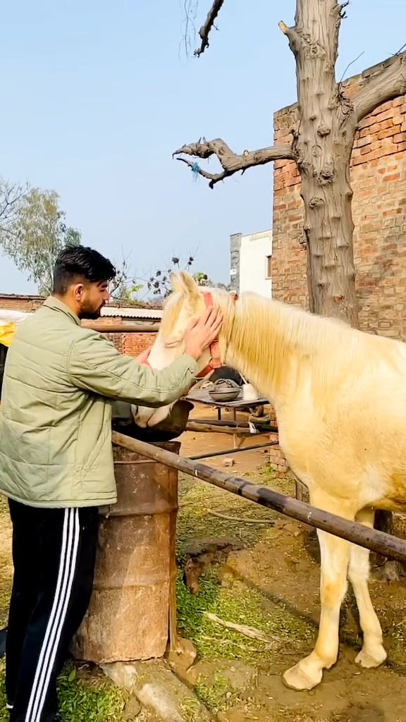 @arsh bajwa