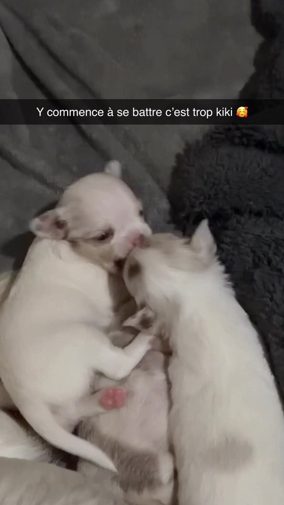 @Loulou❤️