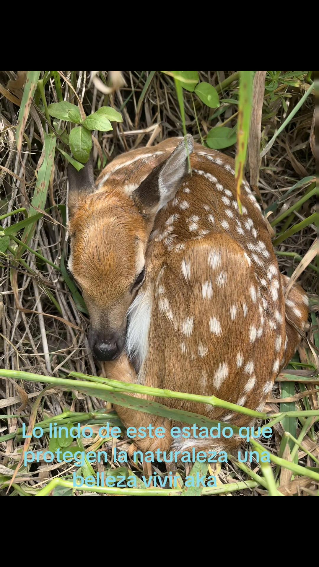 @miltongonzalez3