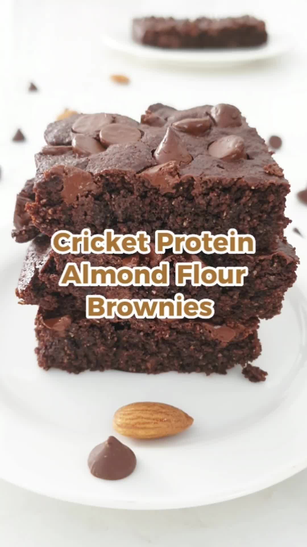 @proteincricket