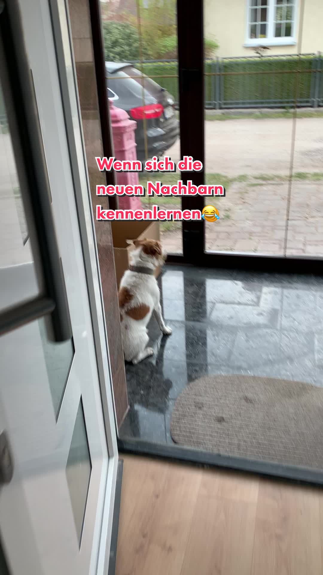 @bRiNiBaRTzi