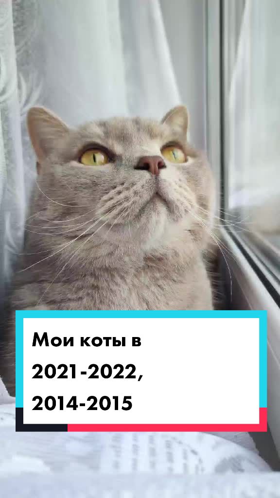 @꧁ꕥ𖠌😻𝓛𝓮𝓿&𝓔𝓶𝓶𝓪𓃠✪ꕥ꧂