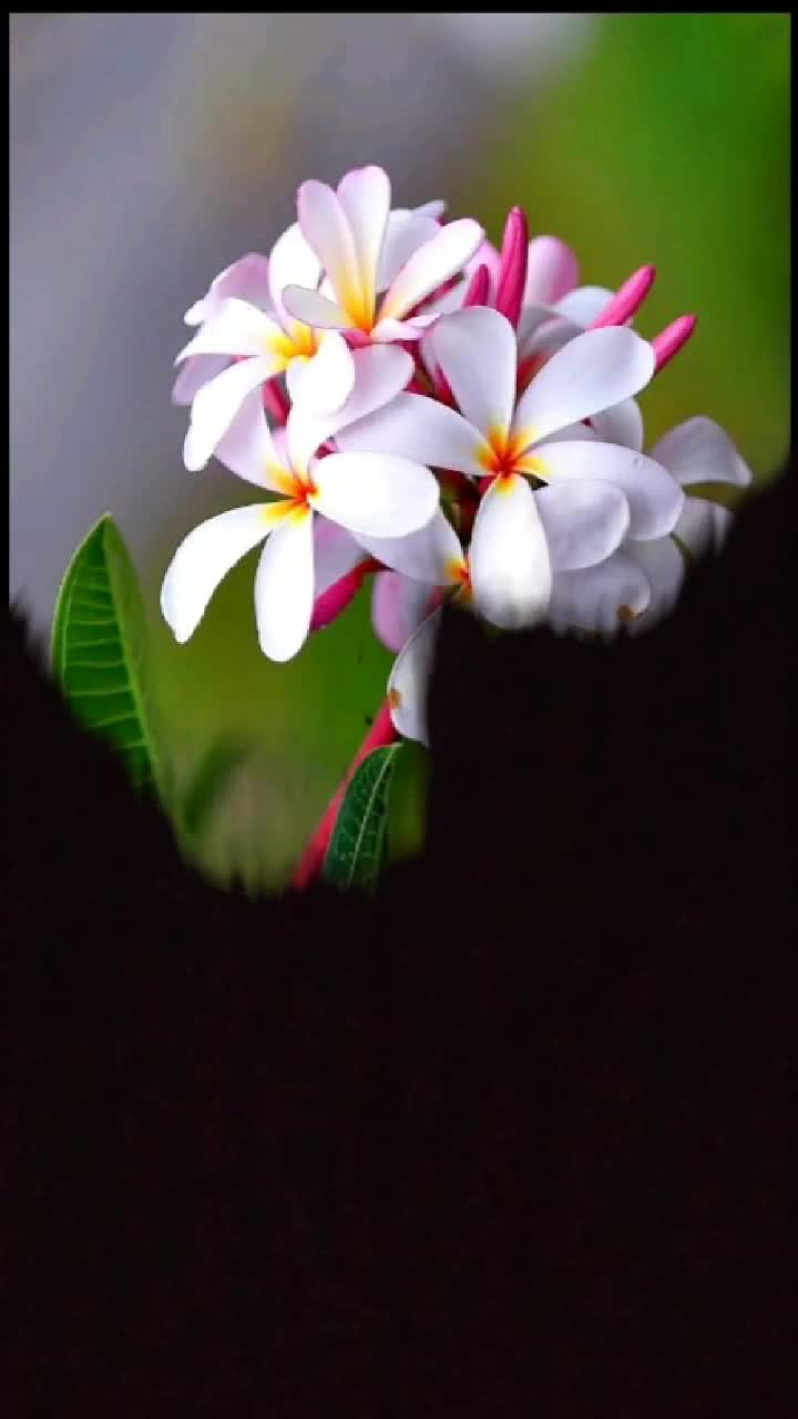 @Amit Kumar