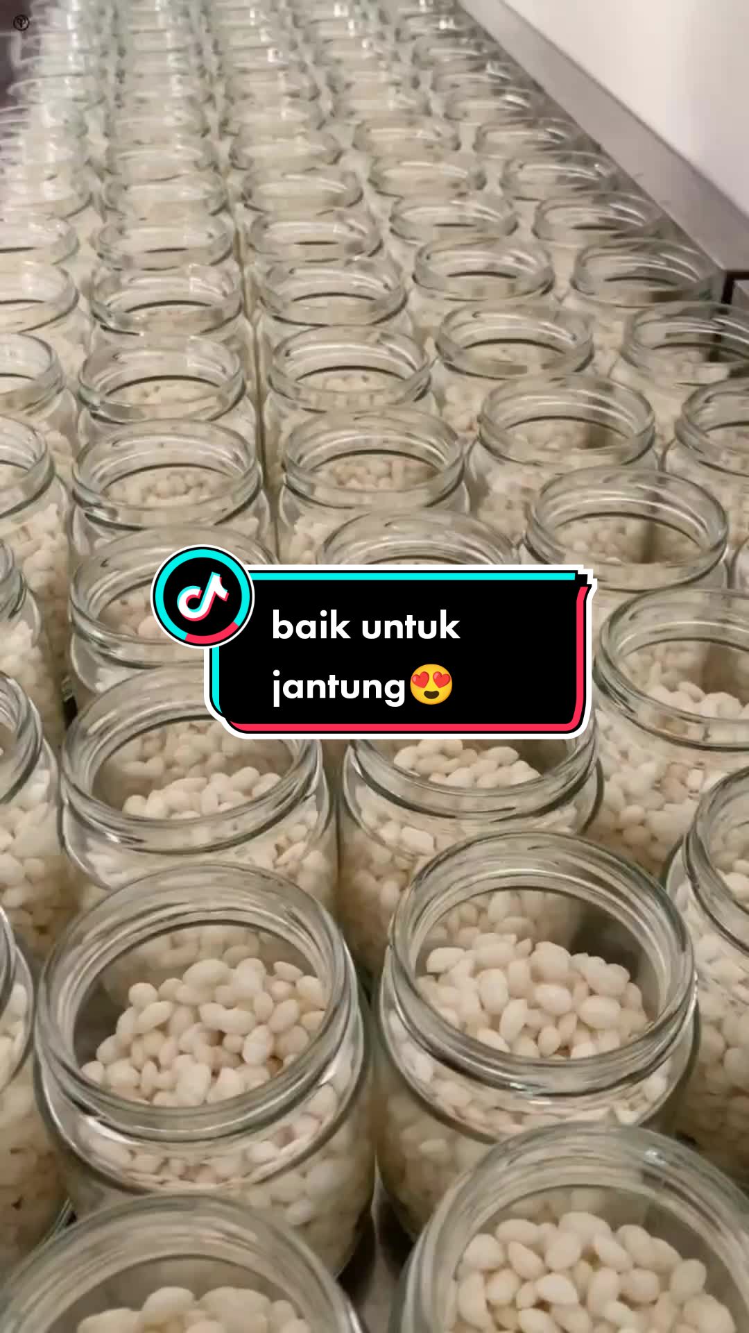 @maumu🐝