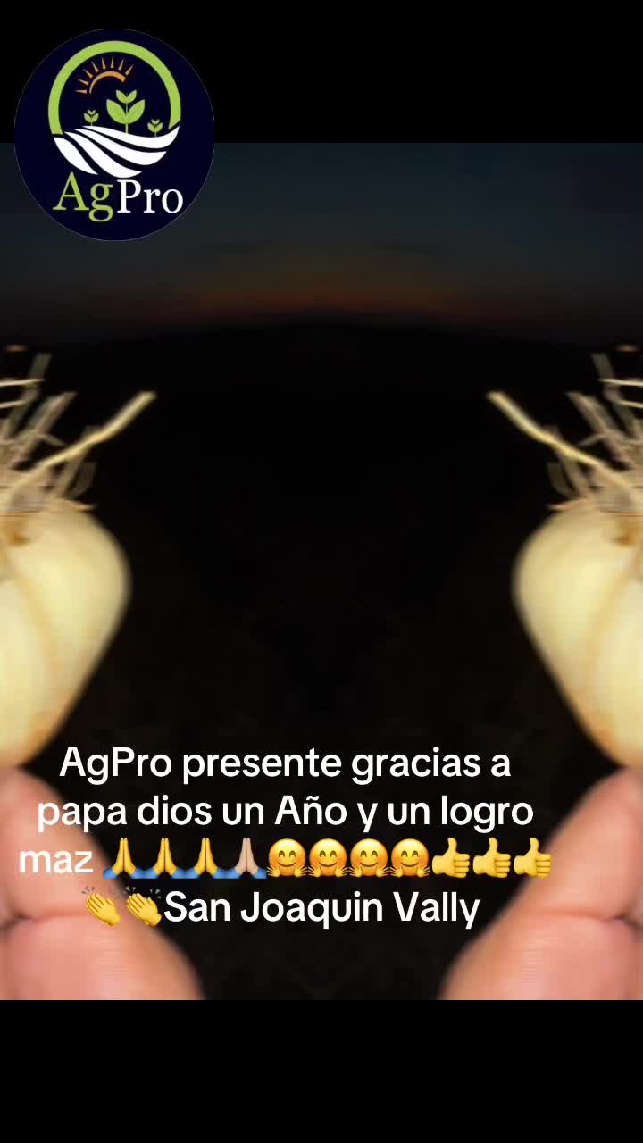 @Piedad Ayala