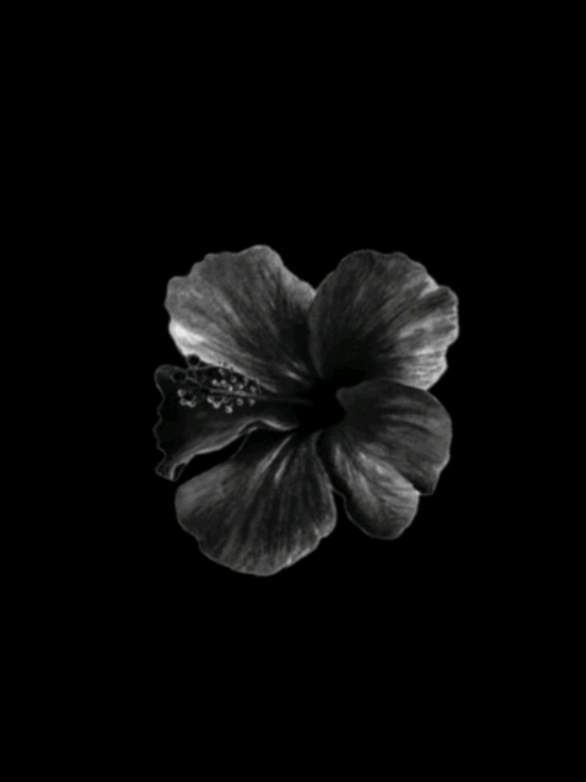 @𝐒𝐓𝐀𝐑'𝐒