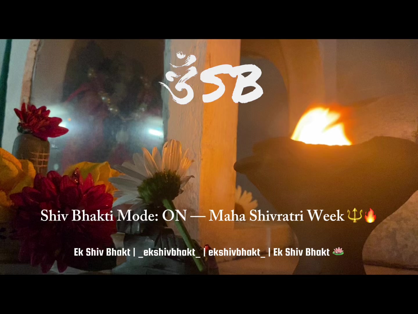 @Ek Shiv Bhakt 🪷