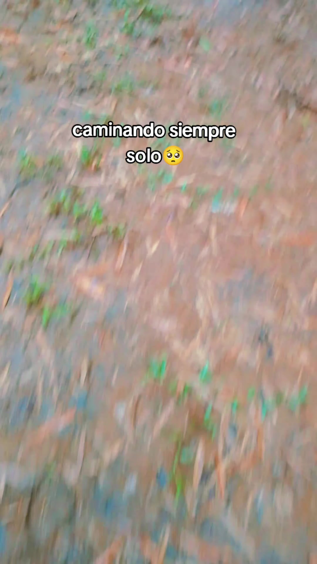 @[🍉N]Tapiz&bull;Tapiz