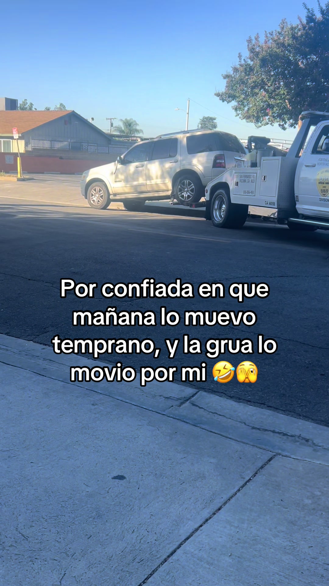 @Cinthya Carrillo