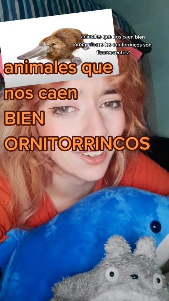 @chillimica_fan32