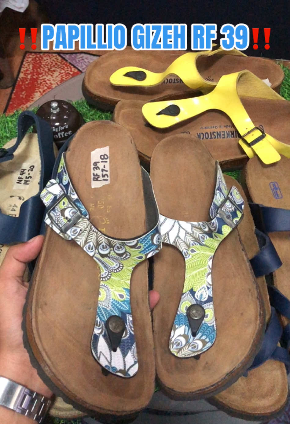 @DAILY BIRKS