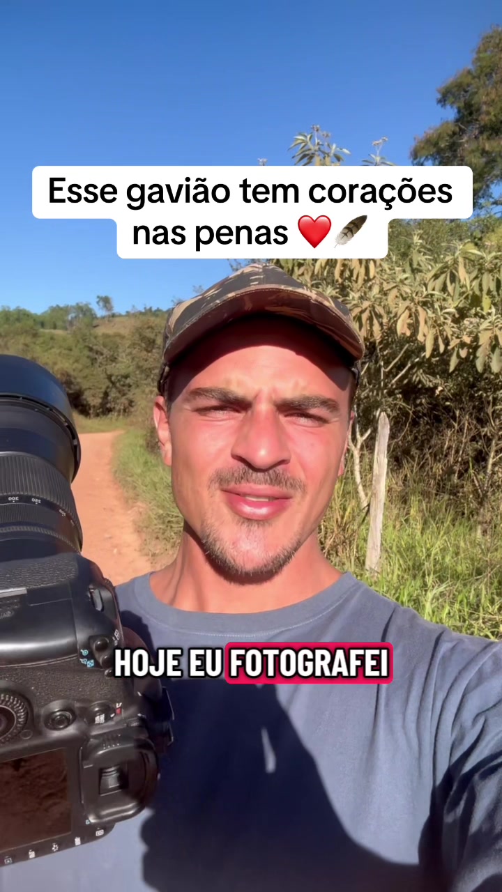 @Vinícius Köhn Pássaros