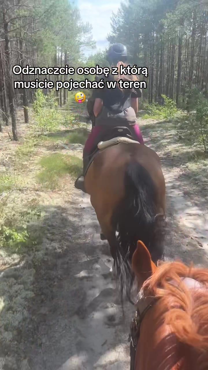 @ZofkaEq
