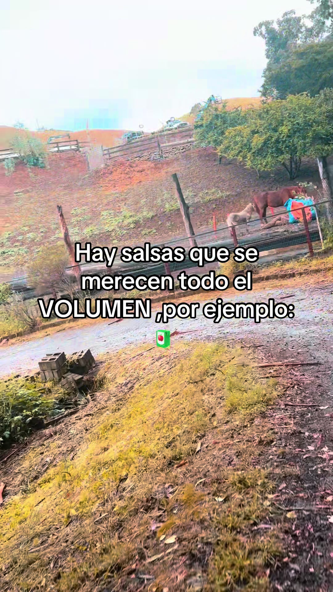 @Memito Cix