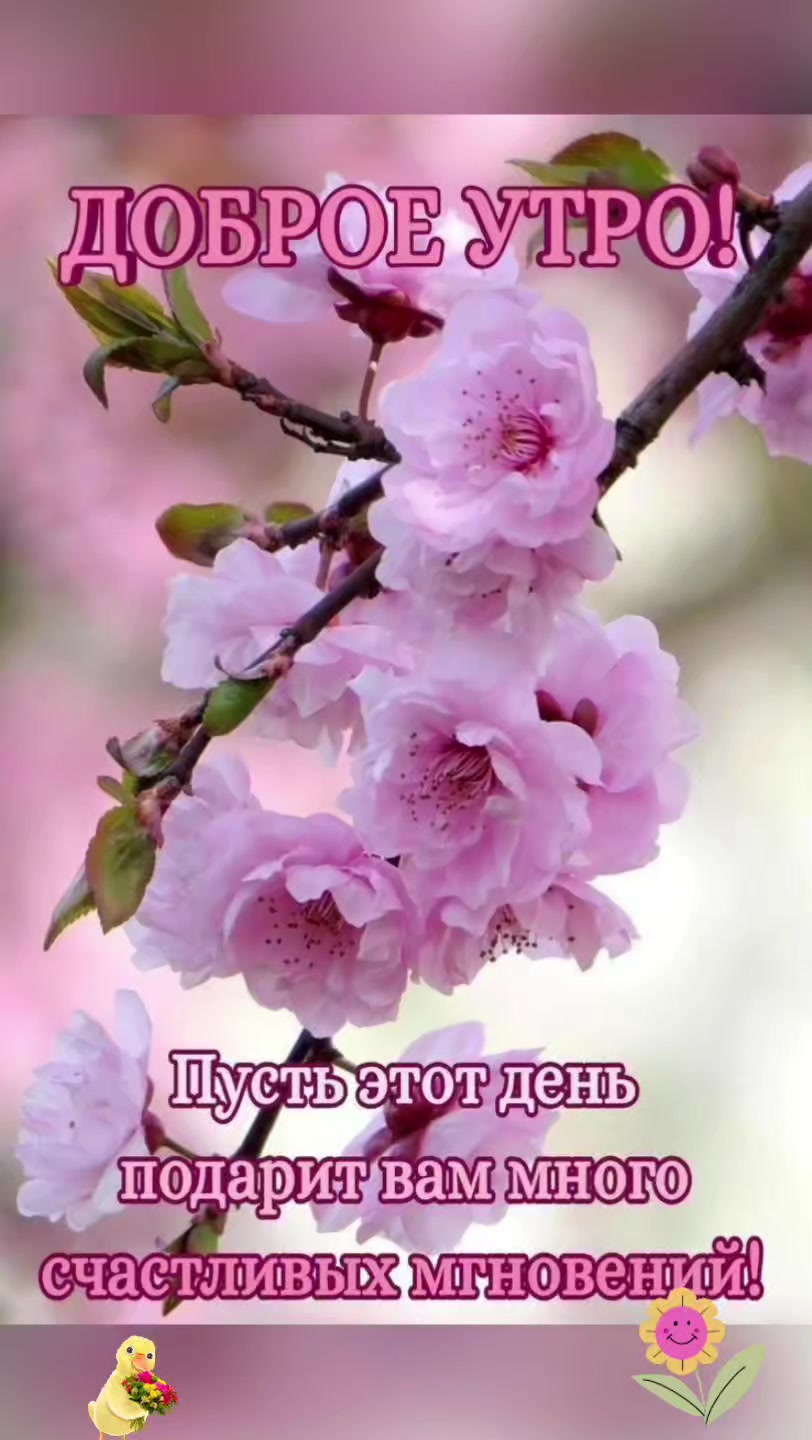 @Светлана.