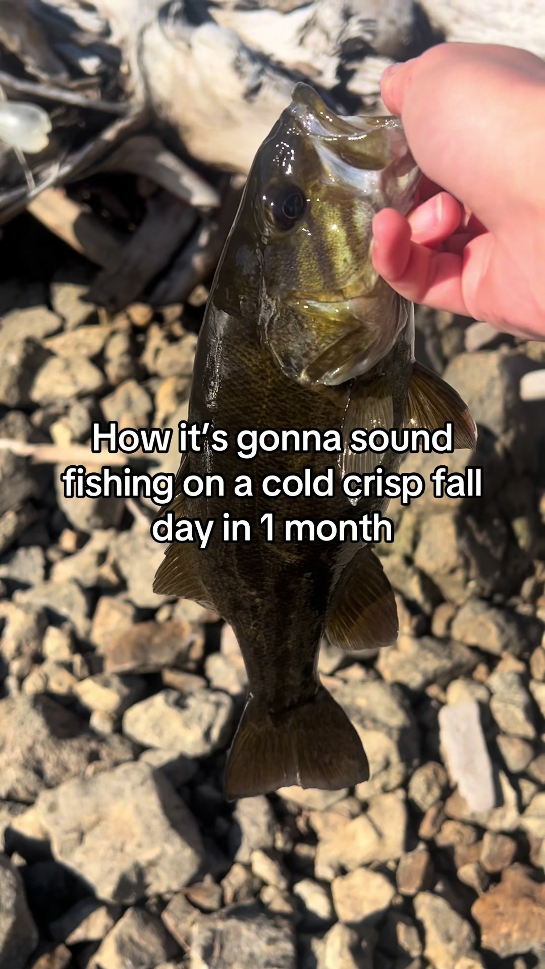 @FattBassFishing