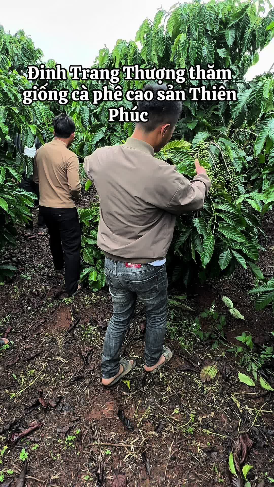 @Thành Bảo Lâm