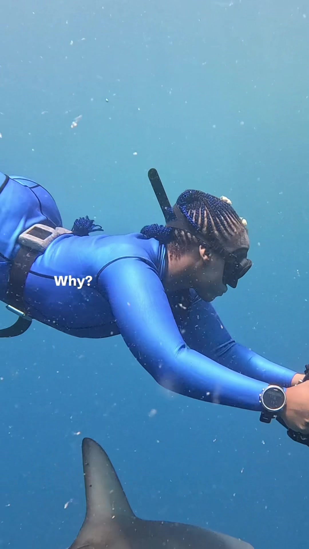 @The Black Mermaid