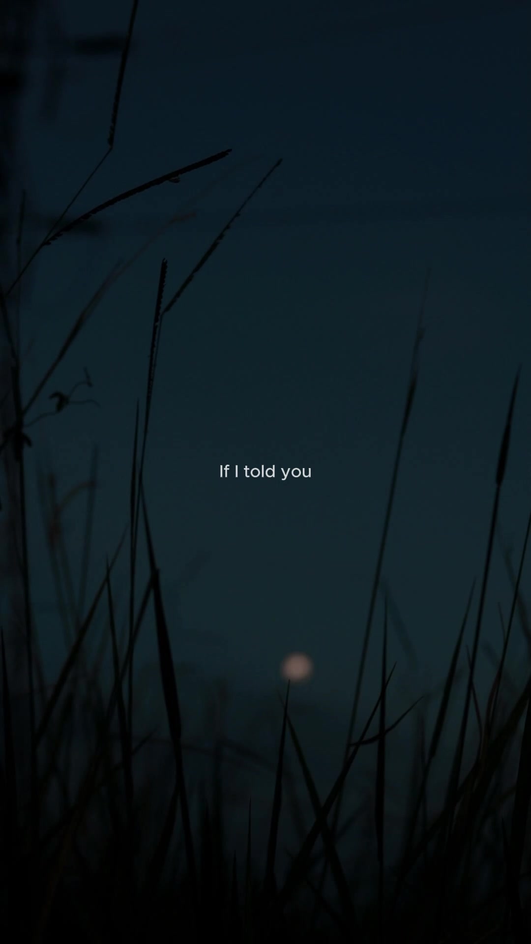 @Lmusic