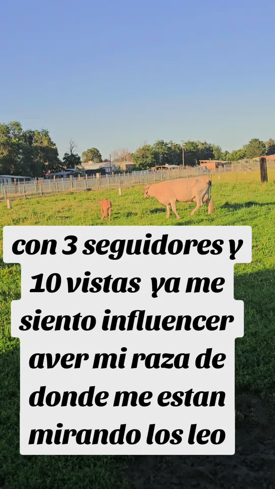 @rancho_rangel1