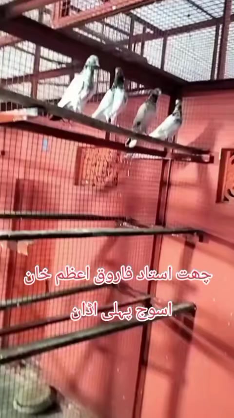 @ustadfarooqazamkhan