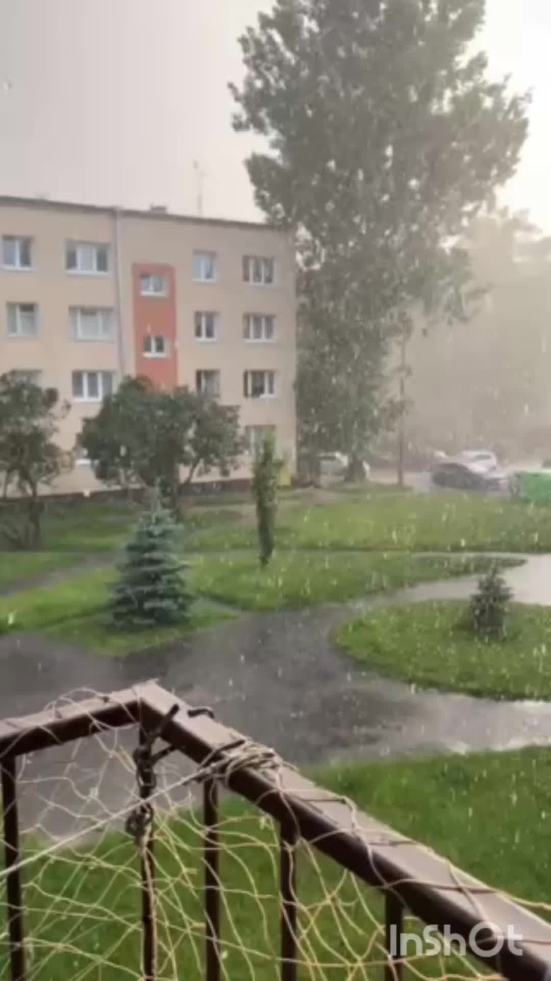 @Inna Kuzhel
