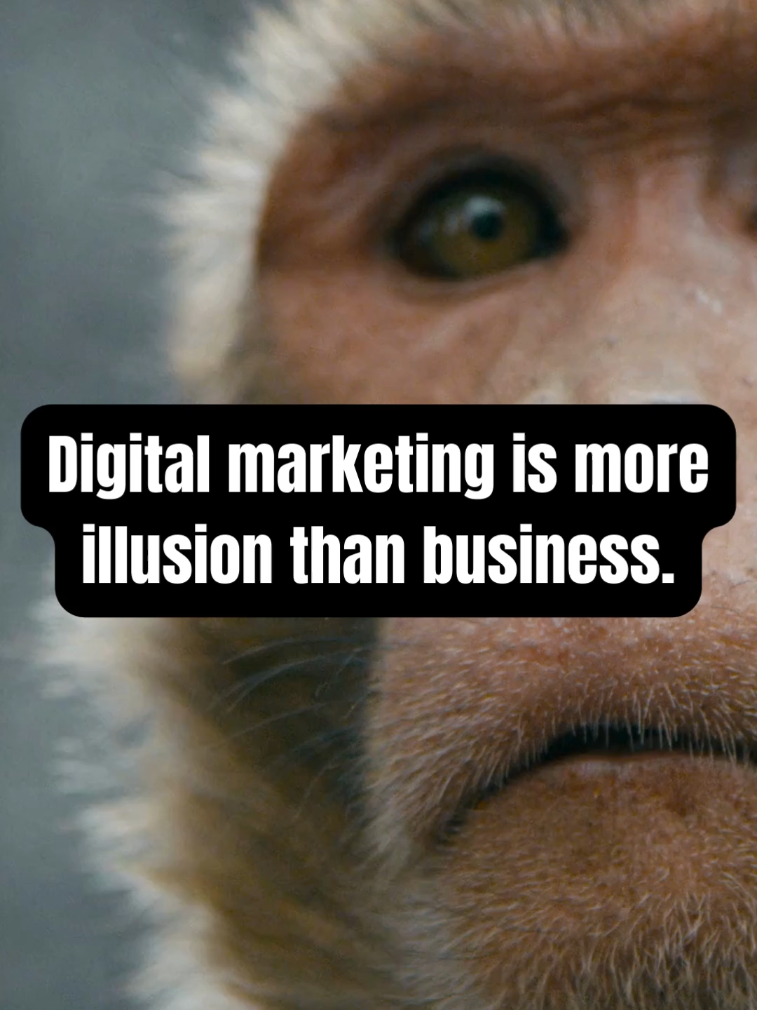 @Digital Marketing Pros ✨