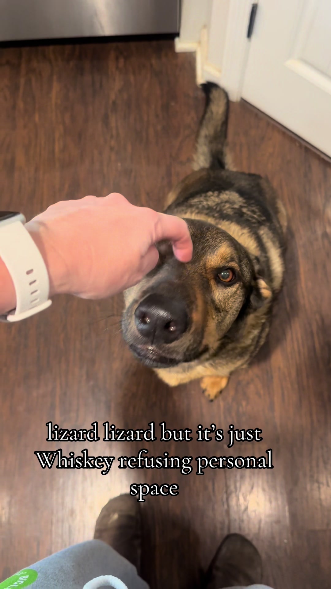 @EzraSharksIslandOfMisfitz