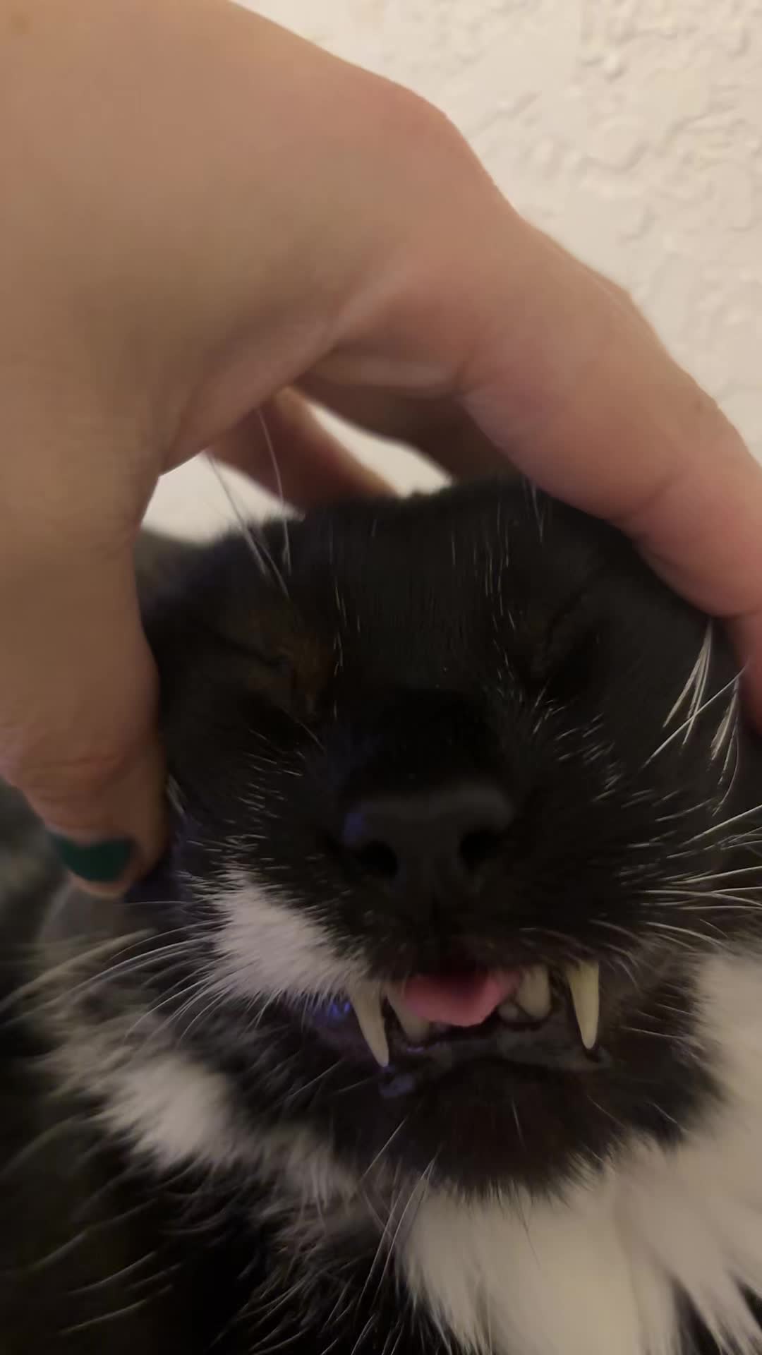 @ś
