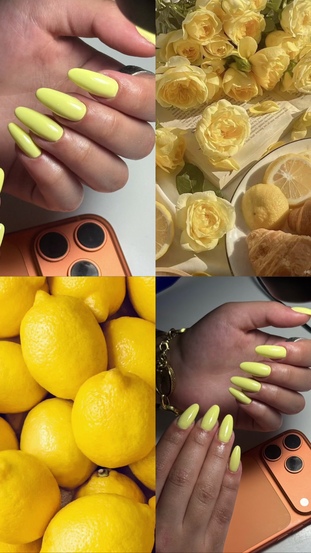 @Bloom Aesthetic