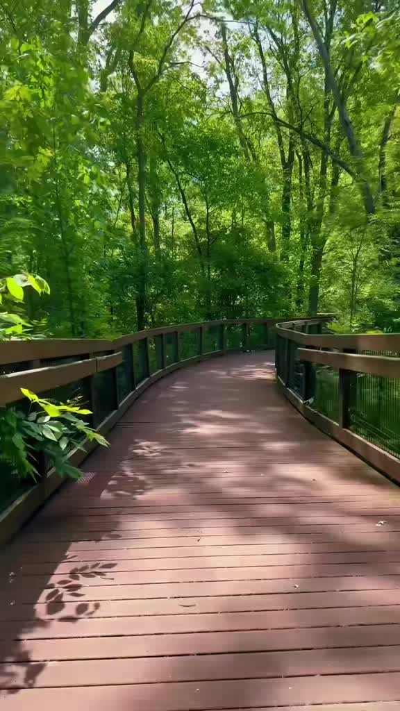 @ellenthejoy