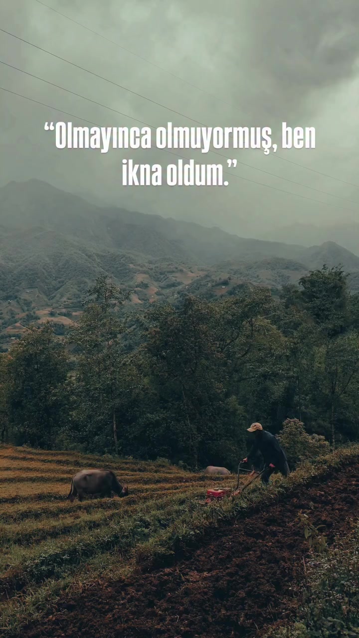 @MUSTAFA🙂↔️