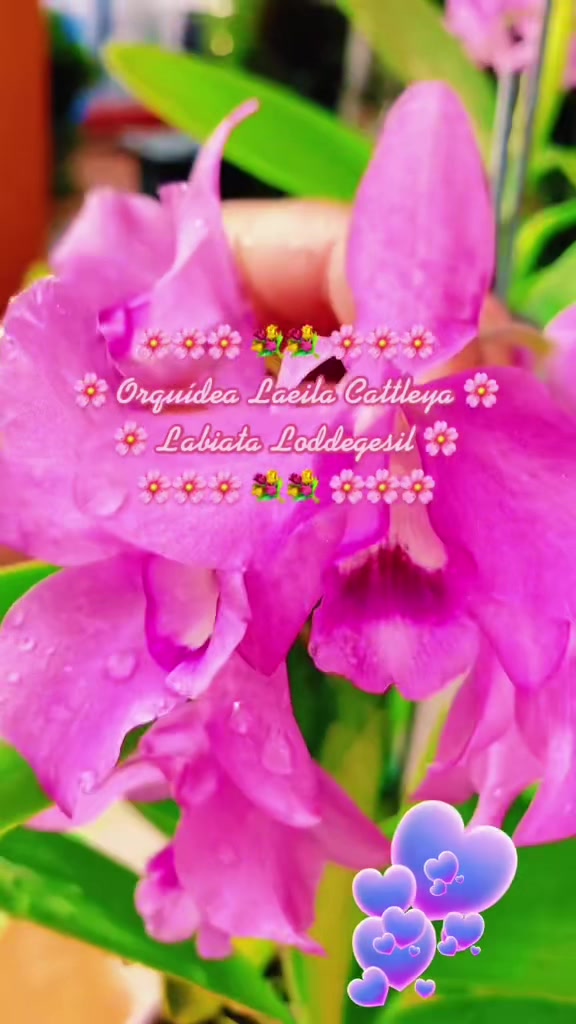 @Jacquie28