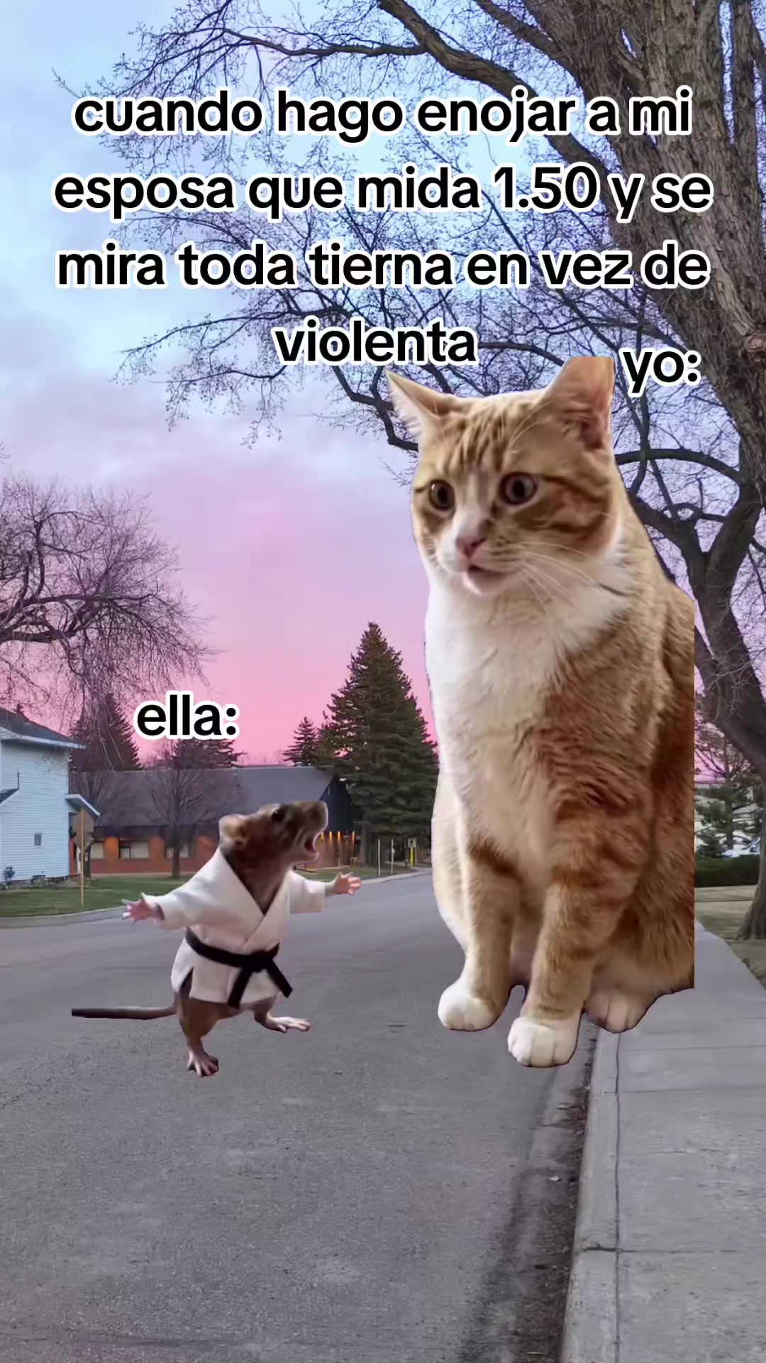 @incaparina_no.1