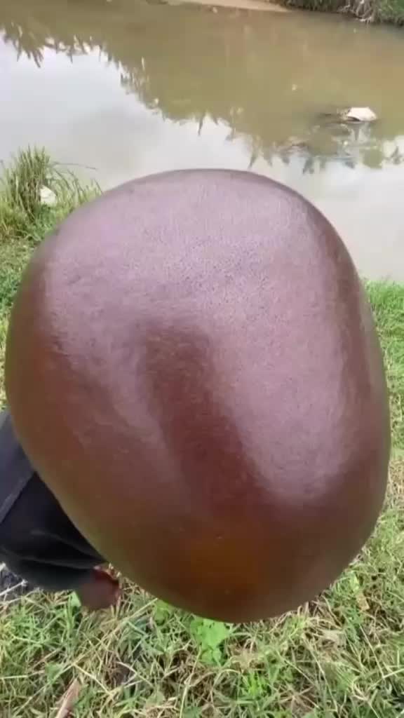 @𝘴ᵤ𝚍ᵢ𝐩𝚝ₐ.g𝓱ₒ𝘴𝓱.