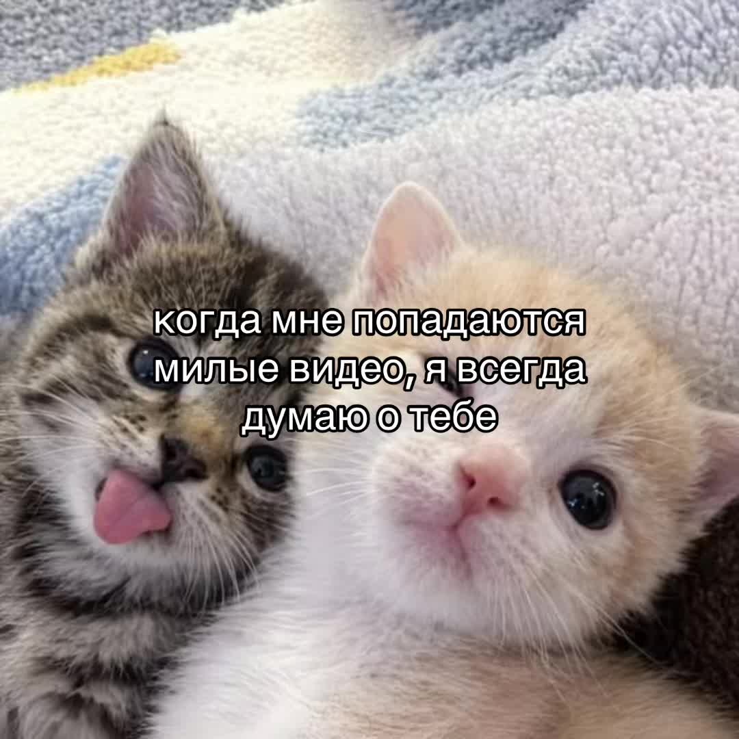 @ 