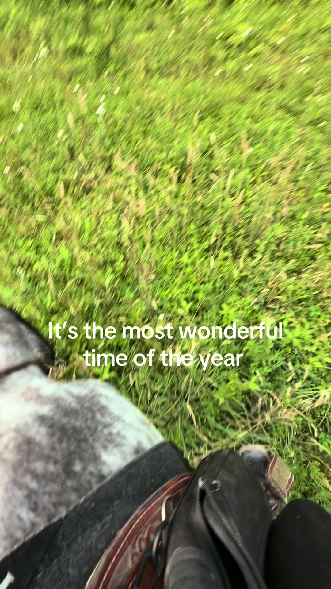 @𝔻𝔸𝕀𝕊𝕐